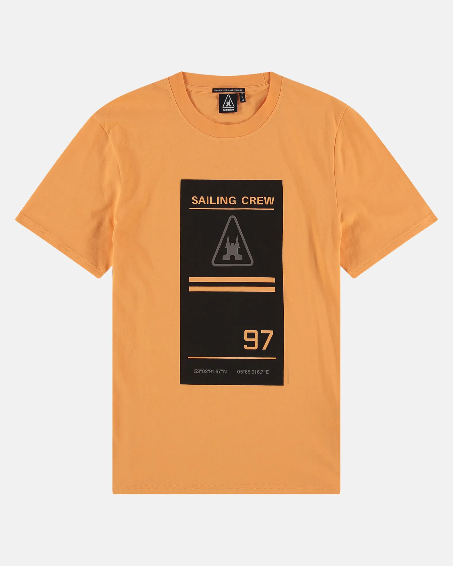 Wales T-Shirt